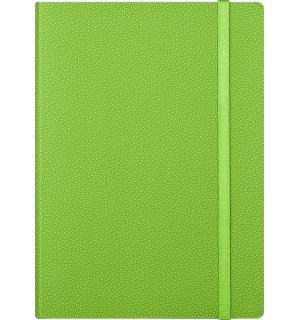 Infolio Froggy I076/light-green