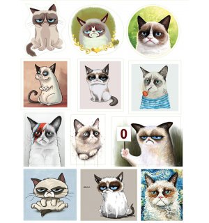 Сердитый кот (Grumpy Cat). Лист виниловых наклеек А4