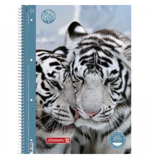 Тетрадь Brunnen Premium Fans of Earth - Tiger в линейку А4