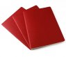 Записная книжка Moleskine Cahier (в клетку, 3 шт.), Large, красная