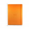 Rhodia Webnotebook Large (A4) c размерной линейкой