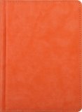 Infolio Softstyle I070/ochre