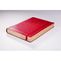 Infolio Clutch I048/red