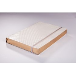 Infolio Clutch I048/white
